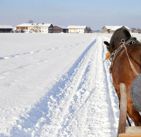 Springerhof Schechen