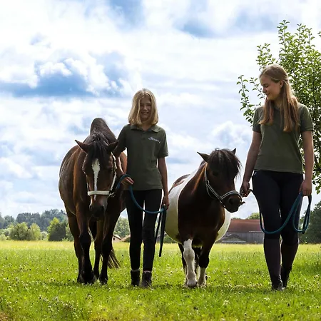 Springerhof Schechen