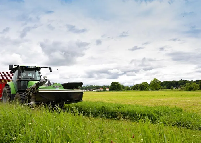 مزرعة للإقامة Springerhof